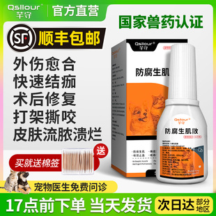 防腐生肌散宠物用狗狗猫咪外伤消炎药绝育伤口愈合止血防感染流脓