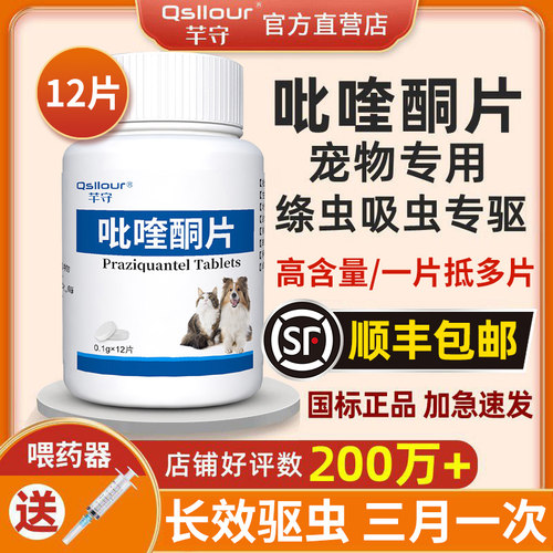 宠物吡喹酮片绦虫驱虫药猫咪狗狗