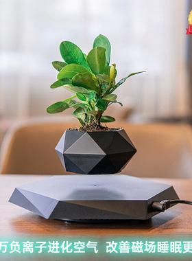 跨境磁悬浮盆栽花创意盆景植物负离子净化器进化空气家居办公