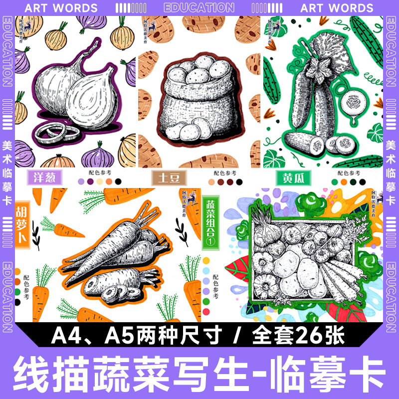色彩线描蔬菜写生美术临摹卡创意彩色速写静物绘画中小学生少儿