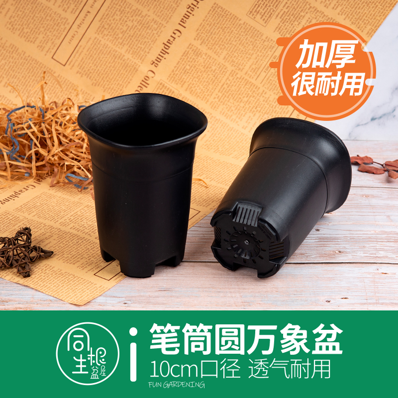 仙人球专用花盆加厚多肉万象盆