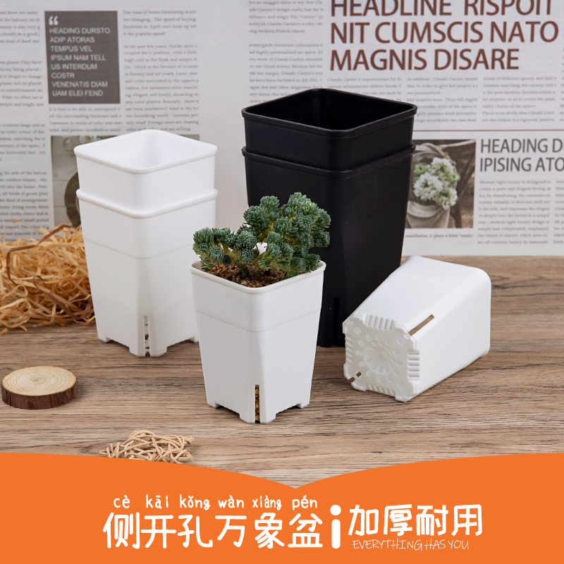 万象盆方形韩式多肉花盆塑料小号宽口玉露仙人球老桩控根高盆包邮