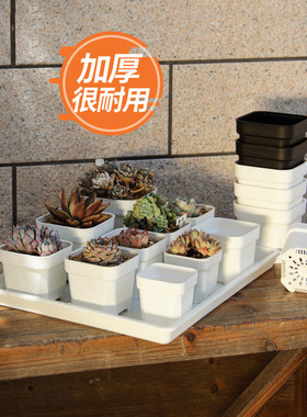 小白方多肉花盆塑料小方盆迷你加厚白色仙人球景天大号黑方育苗盆