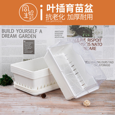 叶插育苗加厚耐用抗老化