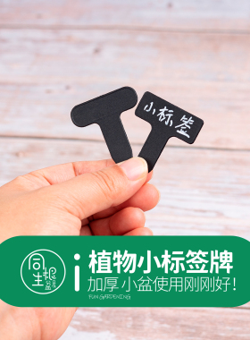 多肉标签黑色T型插牌小标注神器园艺植物花卉标签塑料标记标识牌