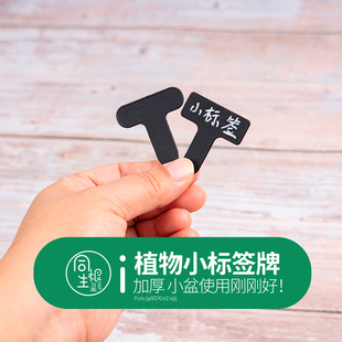 多肉标签黑色T型插牌小标注神器园艺植物花卉标签塑料标记标识牌