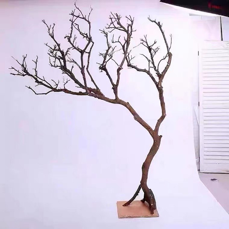 干树枝造景干枝树干许愿树枯树室内庭院造型树枝干原木树枝装饰树
