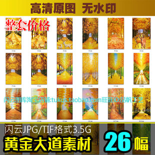 黄金大道玄关装饰画素材图库金色树林黄金满地麋鹿发财树高清图片