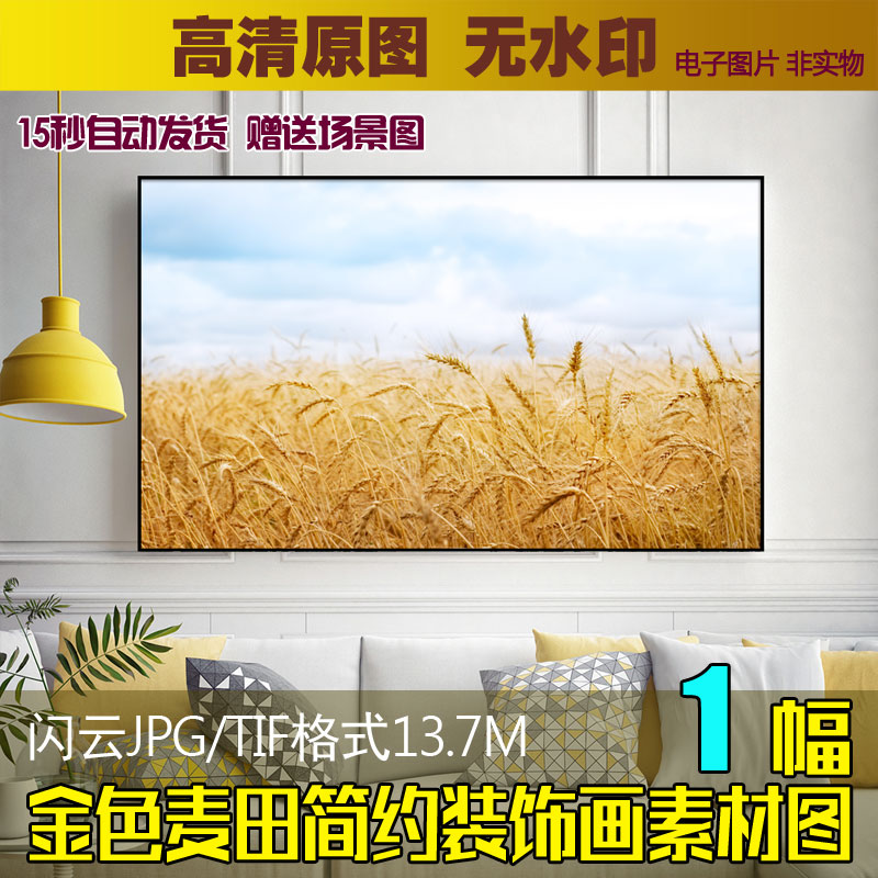 金色麦田装饰画素材高清秋收麦子无框画图库北欧简约挂画喷绘图片
