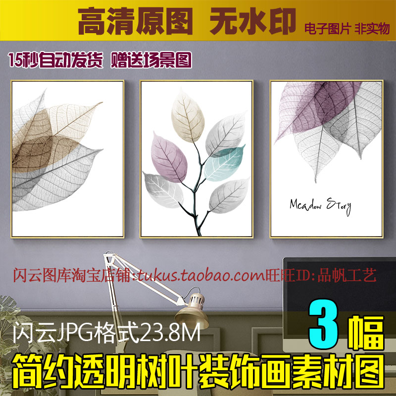 北欧简约透明树叶无框画芯图片小清新抽象植物叶子装饰画素材图库图片