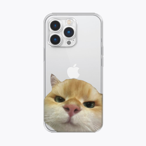 海浪公园【拍三免一】贴脸金渐层猫咪适用于iPhone17promax手机壳tpu透明软壳三星s25至尊小米15pro华为p80