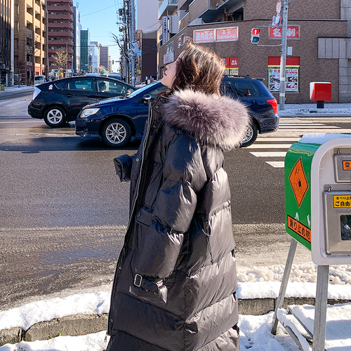 浙宝331 ZB331JM638