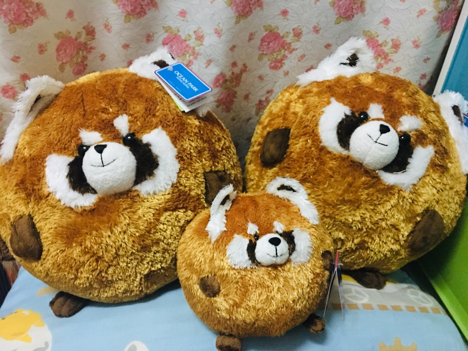 肥嘟嘟小熊猫 小红熊似浣熊毛绒公仔纪念品 玩偶【香港海洋公园】