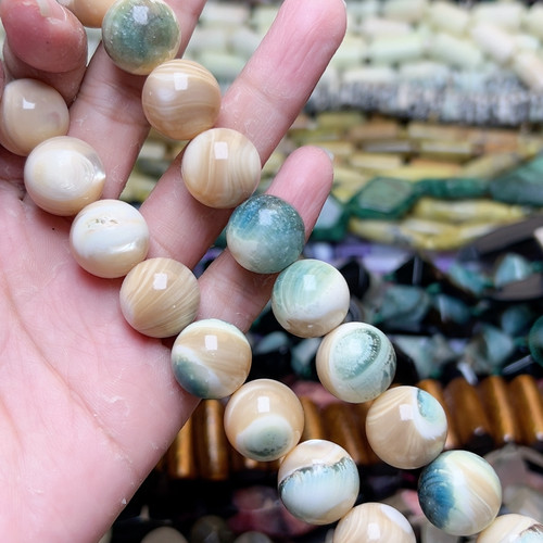 H578夜光螺圆珠15mm一条