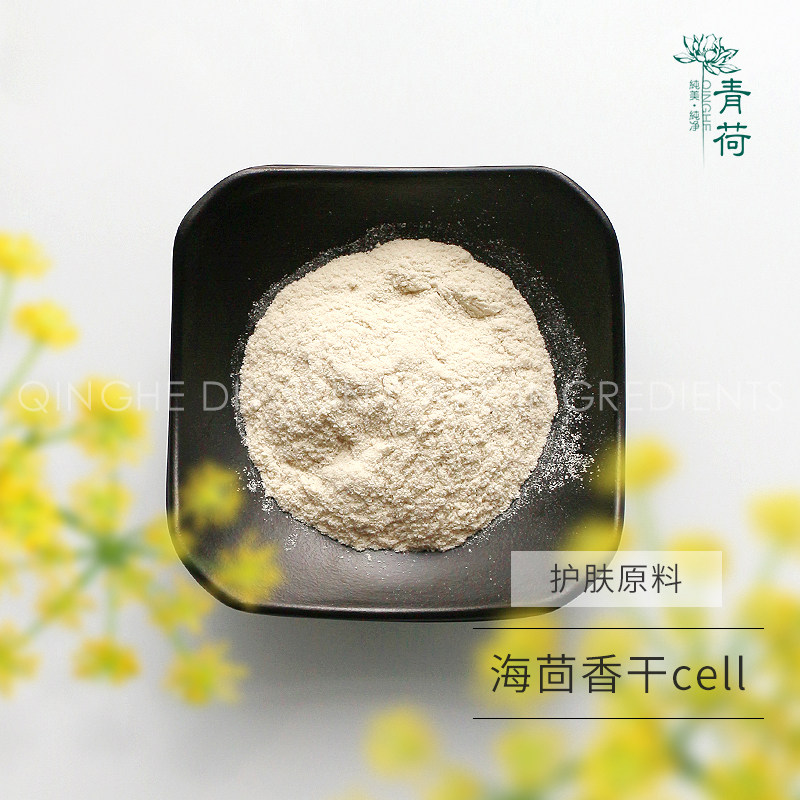 护肤原料-海茴香干cell,海茴香培养物滤液 提取物