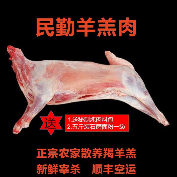 甘肃民勤农家草膘羯羊新鲜羊肉西北全羊整只羊50~60斤真空顺丰包