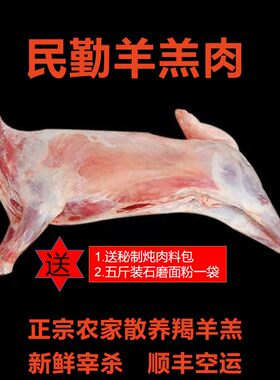 甘肃民勤现杀羯羊羔新鲜羊肉西北