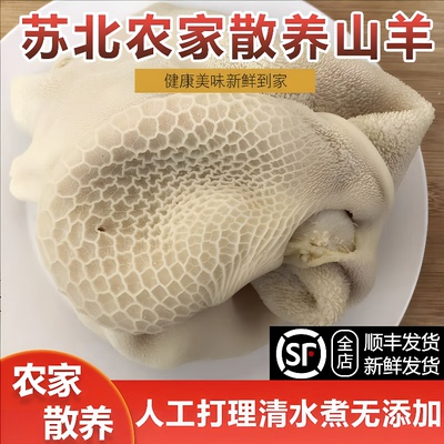 新鲜羊肚全熟散养山羊新鲜