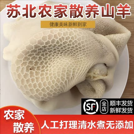 新鲜羊肚全熟 散养山羊新鲜熟羊肚净肚羊杂下水火锅食材涮汤餐饮