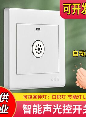 86型暗装声光控面板二线楼道延时感应led节能灯家用物业声控开关
