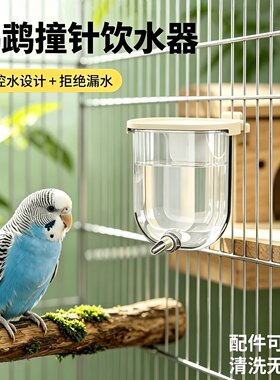 宠帮仕鹦鹉饮水器小鸟撞针水壶自动滚珠喂水神器鸟笼虎皮玄凤用品