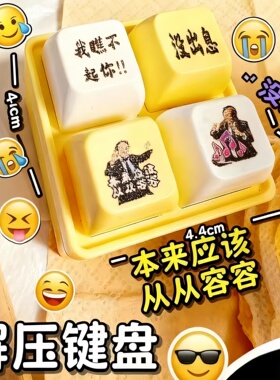 没出息语音按键王世坚从从容容发声发光钮键盘挂件钥匙扣解压玩具