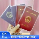 护照保护套结婚证保护套创意透明磨砂保护套珍藏防水结婚皮套通用