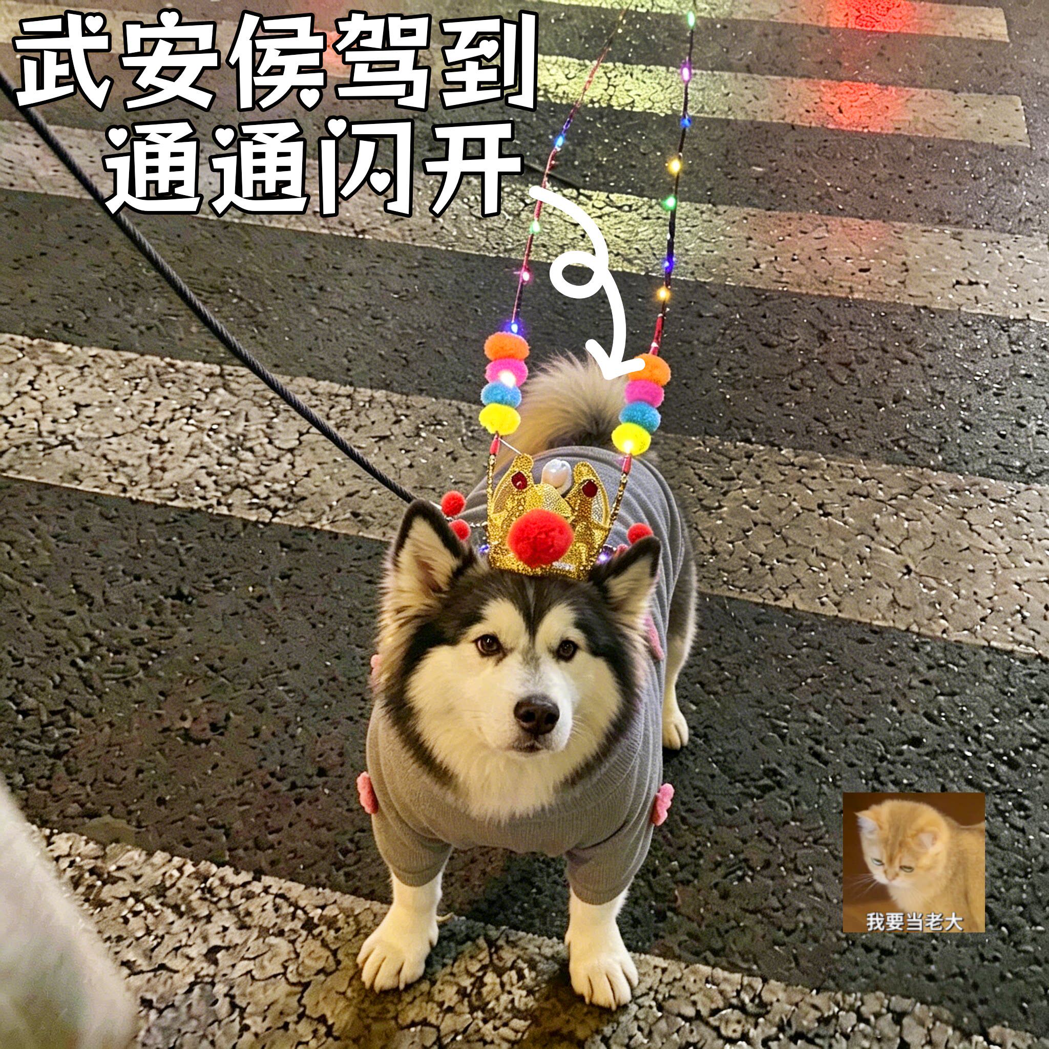 狗狗玩具宠物孙悟空头饰发光状元帽齐天大圣头冠带灯创意装扮道具