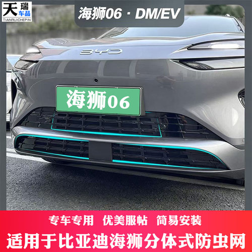 适用比亚迪海狮06EV防虫网06dmi中网进气防尘网07ev格栅前脸改装