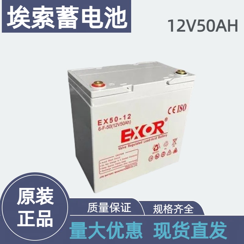 埃索蓄电池12V50AHUPS/EPS监控机房专用