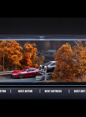 1/64 《双向公路秋季》场景头文字d 小雨哥生日礼物 预定