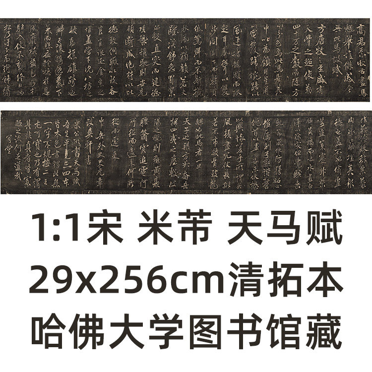 1:1 宋 米芾 天马赋 清拓本真迹复制品29x256cm 哈佛大学图书馆藏