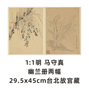 1:1明 马守真 幽兰册两幅29.5x45cm台北故宫藏花鸟名画真迹复制品