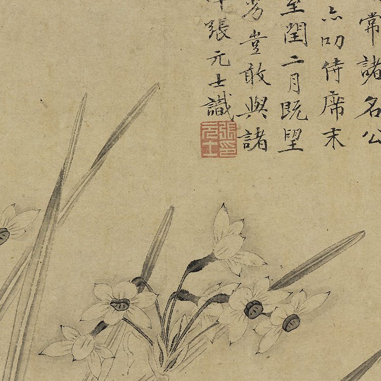 1:1明 张元士 画水仙 真迹复制品28x51cm 台北故宫藏明代花鸟名画
