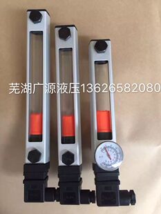 厂家直销GYW/KYW-100系列液位控制型液位液温计 浮球电控液位计