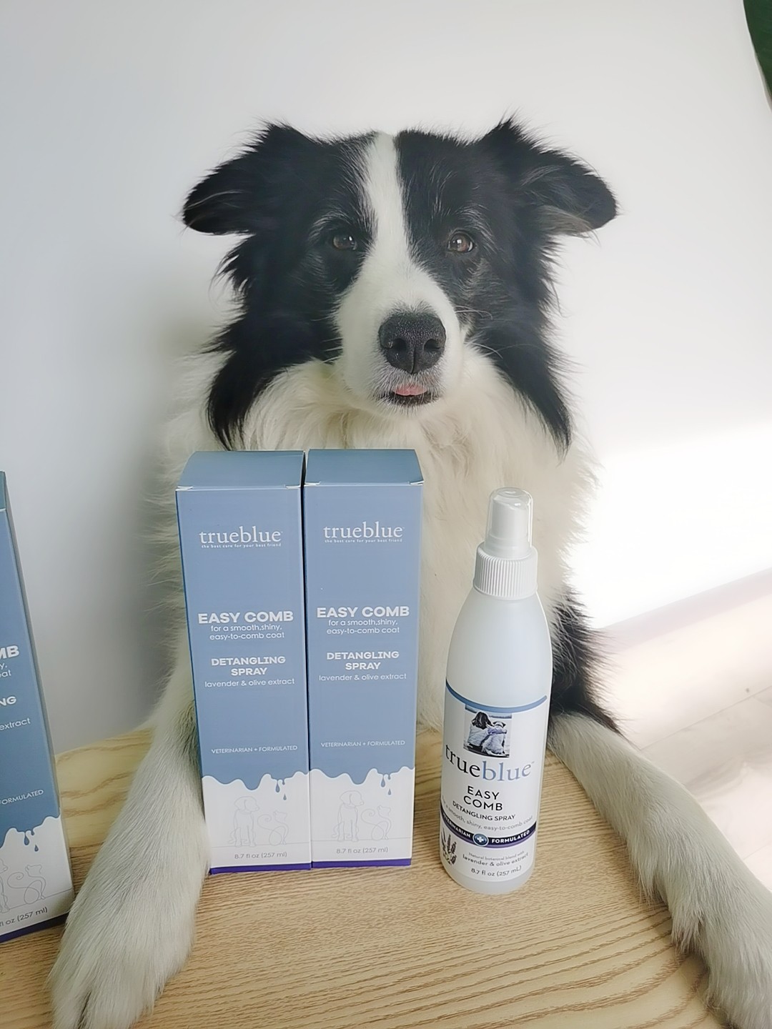 塞拉宠物 trueblue珍蓝之宠宠物顺毛喷雾柔顺防打结猫狗通用257ml