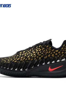 Nike/耐克 G.T. CUT 4 VW EP 男子实战训练篮球鞋 IU1961-001