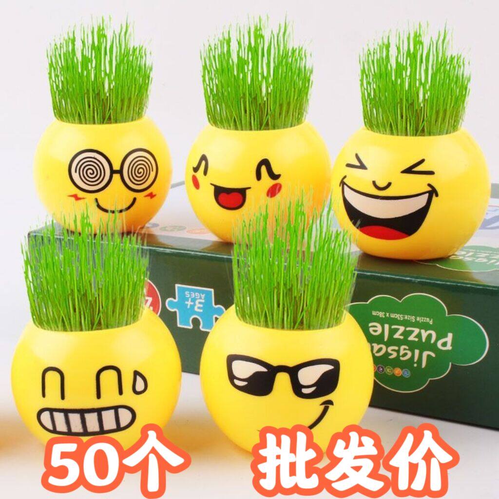 小学生小礼物浇水长草植物幼儿园儿童迷你盆栽草头娃娃办公室礼品