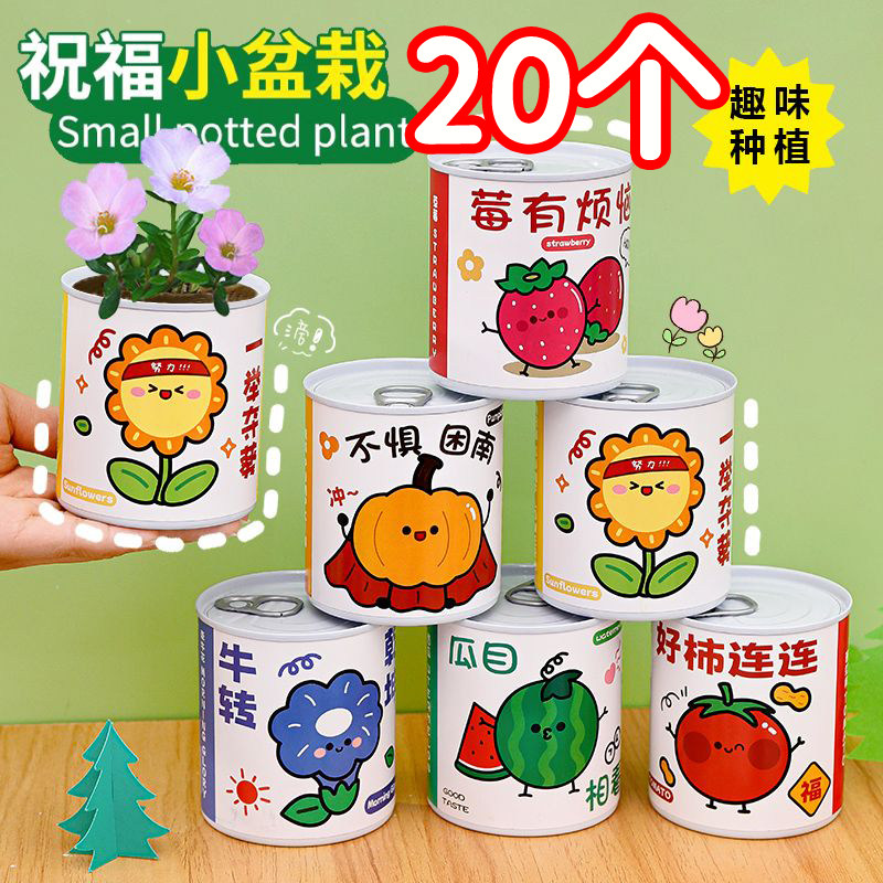 绿植祝福小盆栽儿童开学班级奖励礼物学生奖品幼儿园观察罐装植物