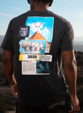 【Ohh】现货 RIPNDIP NERM GEO TEE 贱猫 短袖T恤