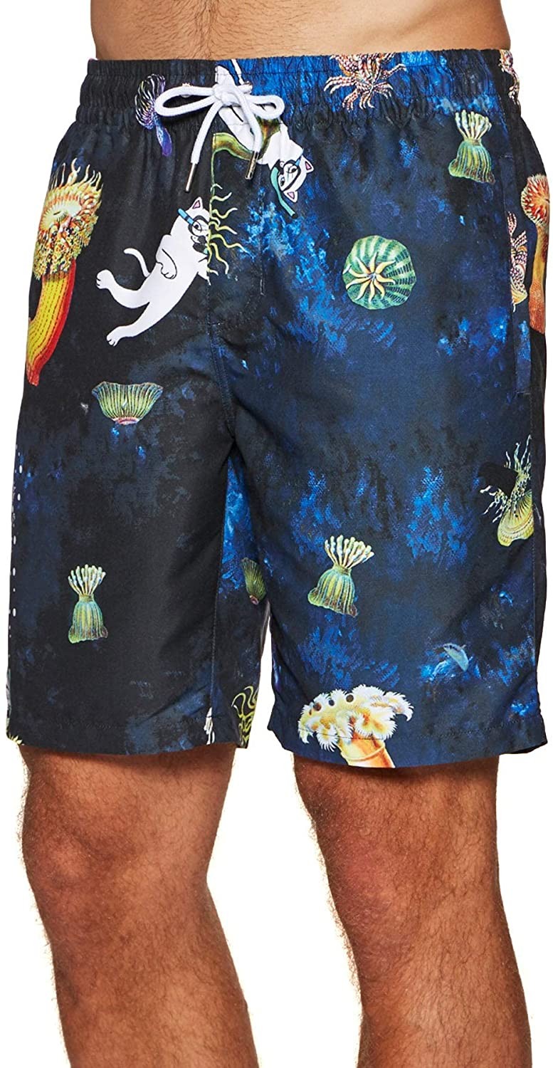 ripndip短裤街头風海滩裤