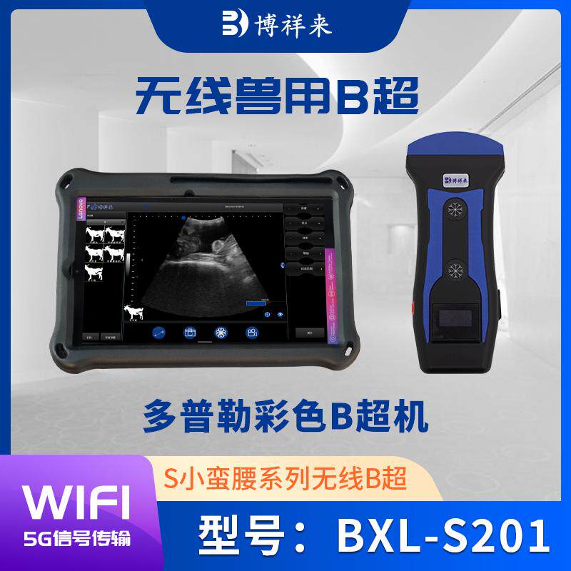 测鱼性腺B超彩超机测鱼卵用B超机鱼雌雄判断超声诊断仪BXL-S201