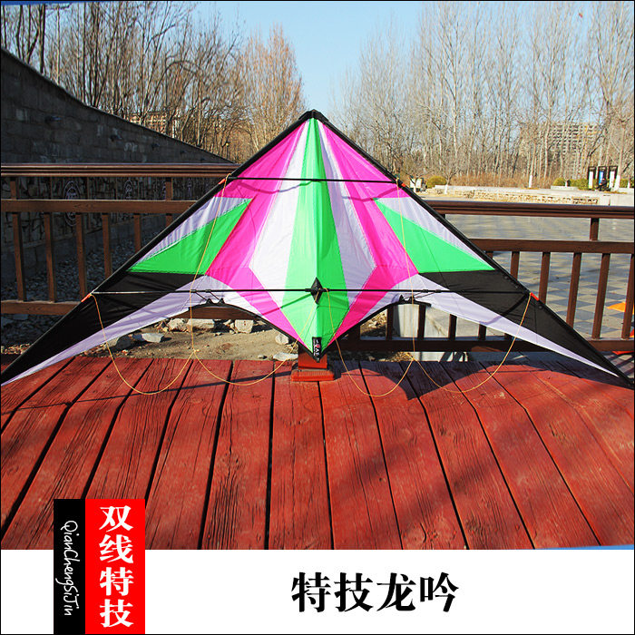 潍坊新款2.4米树脂杆双线运动特技龙吟风筝新手初学者国潮中国风