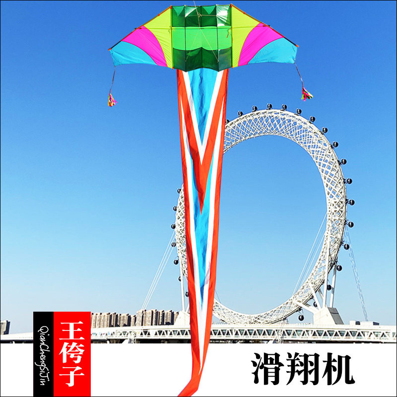 珍藏版王侉子滑翔机544伞布风筝图片