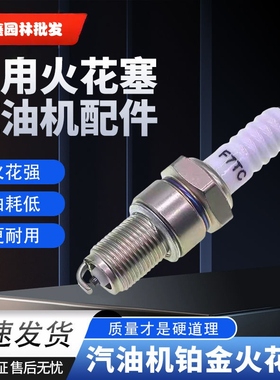 高级铂金168/170F/188F汽油机火花塞 发电机火花塞F7TC/F5TC/F6TC