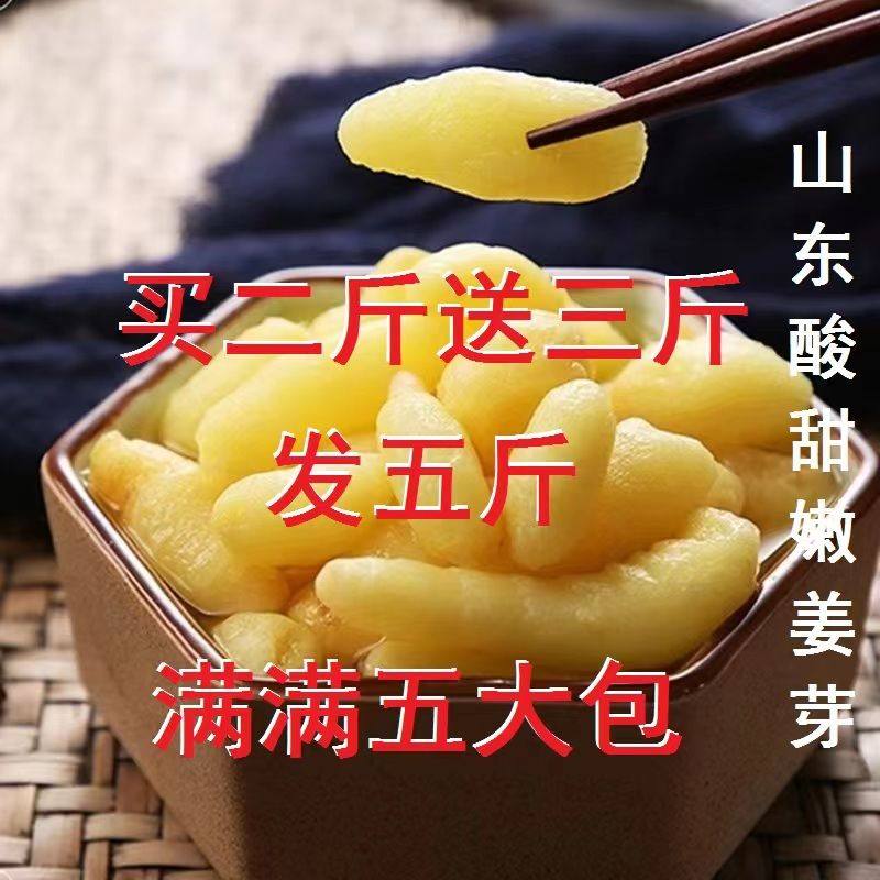 嫩姜芽新鲜仔姜酸甜口味