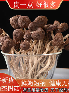 【短柄茶树菇】：真的特别嫩哦