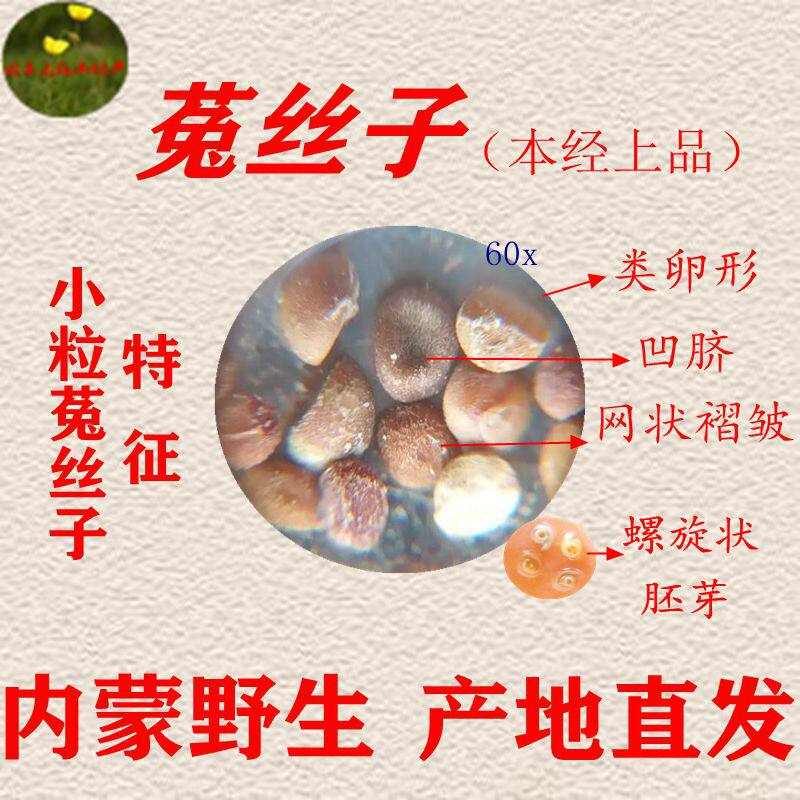 中药材野生菟丝子小粒内蒙原产地赤峰正品250克1斤2份包邮