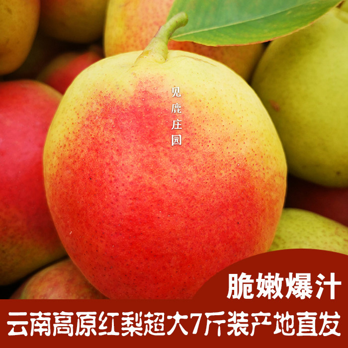 见鹿庄园云南红梨超级大果8个装7斤包邮新鲜水果酥梨酸甜非火把梨
