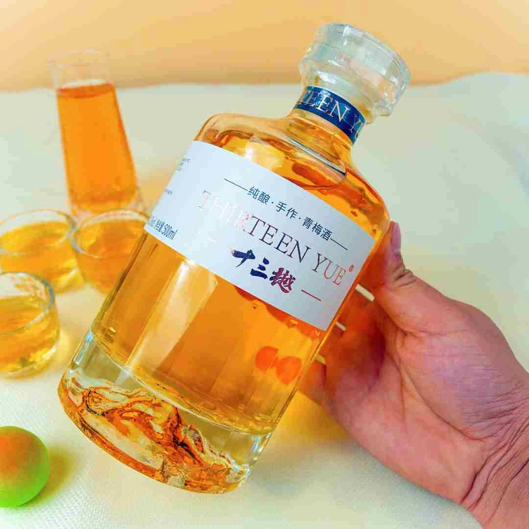 纯酿手作梅子酒 青梅酒12度500ml女士低度微醺果酒  正宗梅子酒